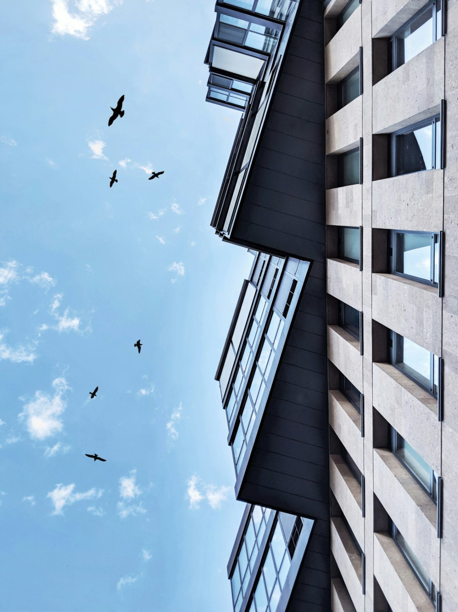 Impact of Remote Work Trends on Office Space Requirements